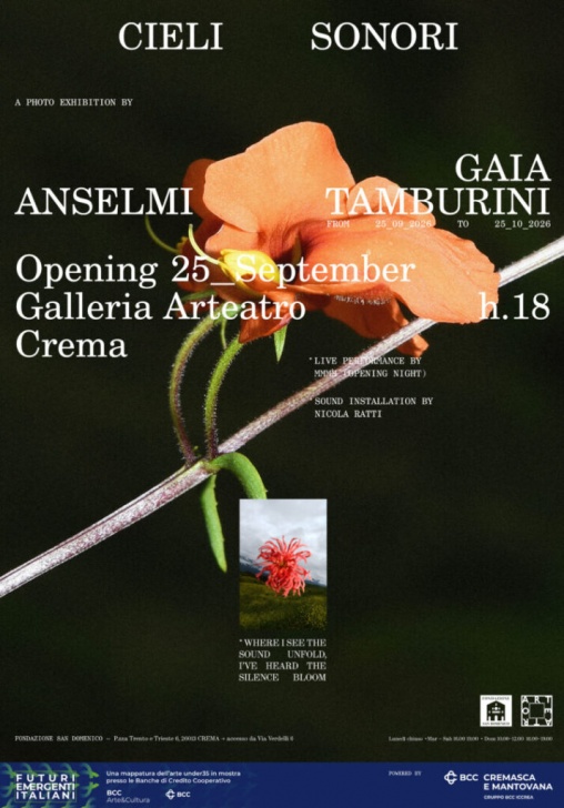 Mostra: CIELI SONORI di Gaia Anselmi Tamburini