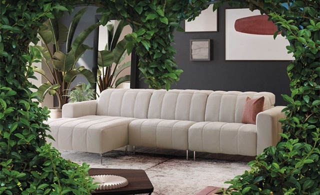 Foto rubrica Divani&Divani si rinnova a Crema, green party il 16 ottobre nello store di via Milano 63 dalle ore 16