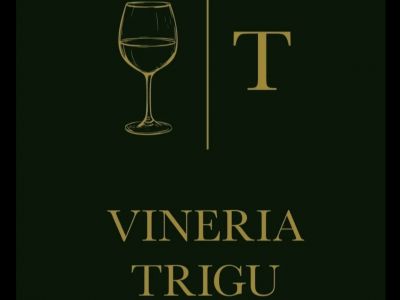 Logo Vineria Trigu