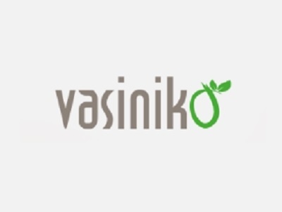 Logo Vasinikò