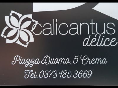 Logo Calicantus Délice